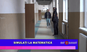 Simulați la matematică
