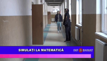 Simulați la matematică