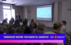 Workshop despre tratarea demenței
