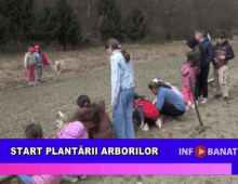 Start plantării arborilor