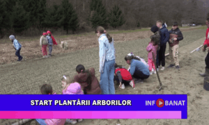 Start plantării arborilor
