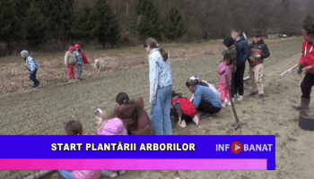 Start plantării arborilor