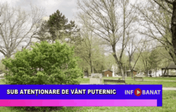 Sub atenționare de vânt puternic