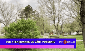 Sub atenționare de vânt puternic