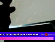 Noi oportunități de angajare