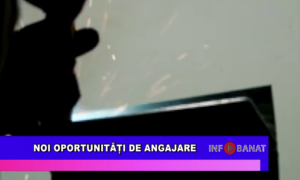 Noi oportunități de angajare