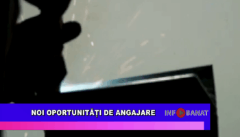 Noi oportunități de angajare