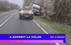 A adormit la volan
