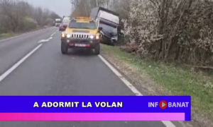 A adormit la volan