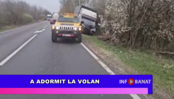 A adormit la volan