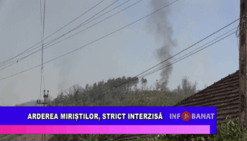 Arderea miriștilor, strict interzisă