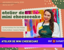 Atelier de mini cheesecake