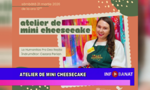 Atelier de mini cheesecake