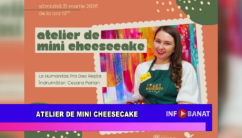 Atelier de mini cheesecake