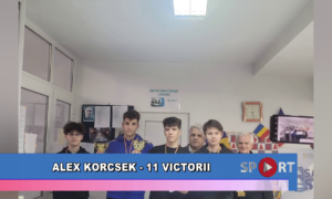 Alex Korcsek – 11 victorii