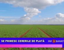 Se primesc cererile de plată