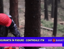 Siguranță în pădure  – controale ITM