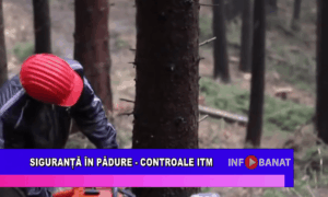 Siguranță în pădure – controale ITM