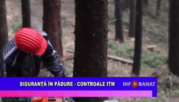 Siguranță în pădure  – controale ITM