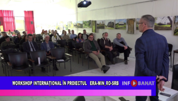 Workshop internațional în proiectul transfrontalier ERA-MIN_RO-SRB