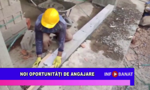 Noi oportunități de angajare