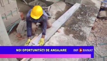 Noi oportunități de angajare