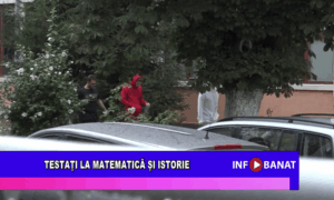 Testați la matematică și istorie