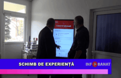 Schimb de experiență