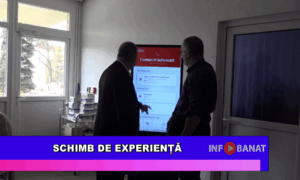 Schimb de experiență