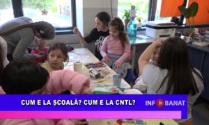Cum e la școală? Cum e la CNTL?