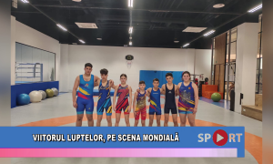 Viitorul luptelor, pe scena mondială