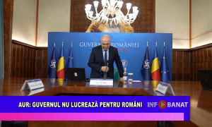 AUR: Guvernul nu lucrează pentru români