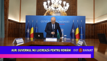 AUR: Guvernul nu lucrează pentru români