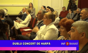 Dublu concert de harpă