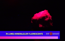 În lumea mineralelor fluorescente