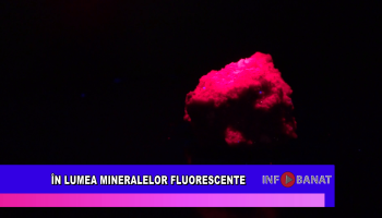 În lumea mineralelor fluorescente
