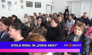 Oțelu Roșu, în „Zodia Arici”