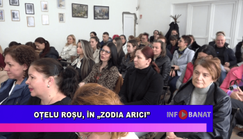 Oțelu Roșu, în „Zodia Arici”