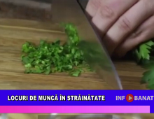 Locuri de muncă în străinătate