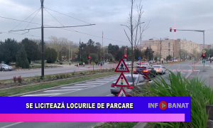 Locuri de muncă în străinătate