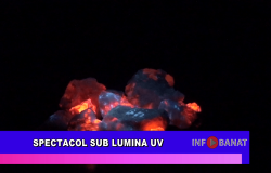 Spectacol sub lumina UV
