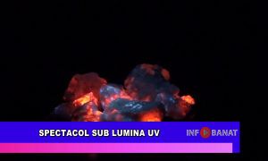 Spectacol sub lumina UV
