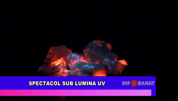 Spectacol sub lumina UV