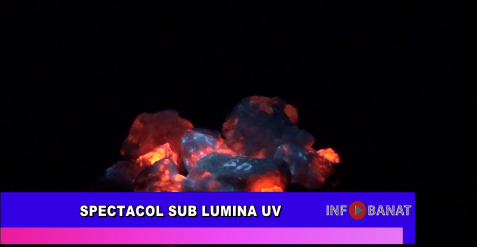 Spectacol sub lumina UV