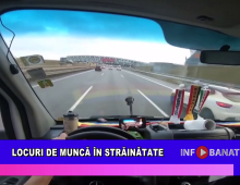 Locuri de muncă în străinătate