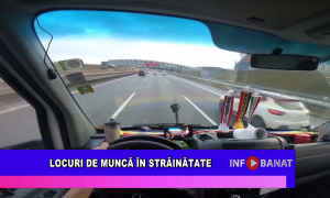 Locuri de muncă în străinătate