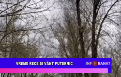 Vreme rece și vânt puternic