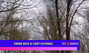 Vreme rece și vânt puternic