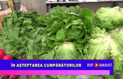 În așteptarea cumpărătorilor