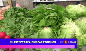 În așteptarea cumpărătorilor